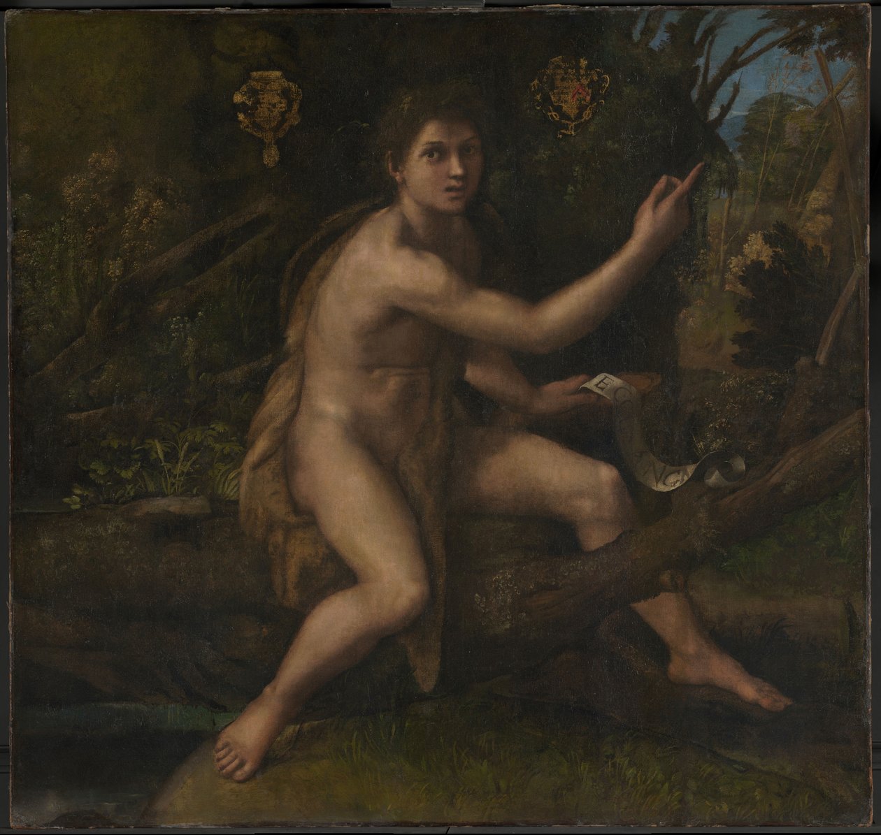 Døperen Johannes av Raphael (1483 1520)