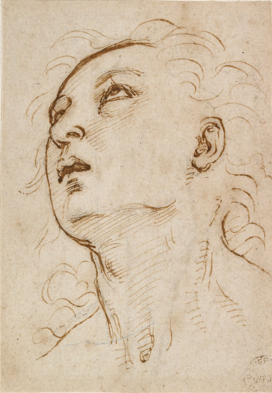Hodet til en ung mann som stirrer oppover, c1497-c1504 av Raphael