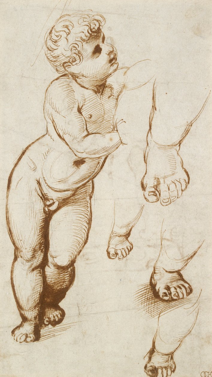 Recto: The Infant Christ and other Studies, 1500-1520 av Raphael