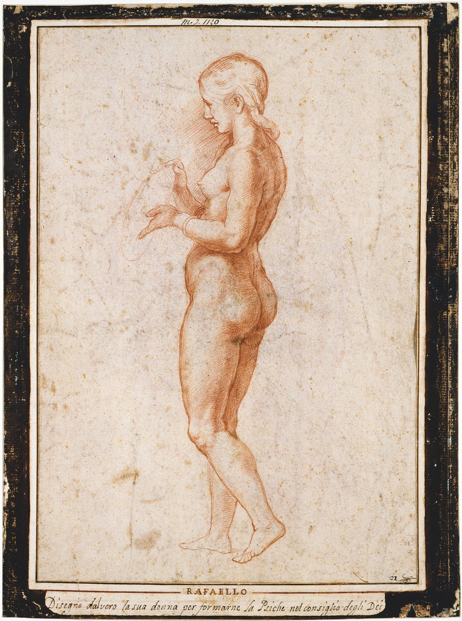 Young female figure in profile, ca 1517.    1191159   no       norwegian Successfully Translated  Original: Megatherium americanum in the moonlight. Translat: Megatherium americanum in the moonlight. 1401011 no norwegian Successfully Translated Original: E av Raphael