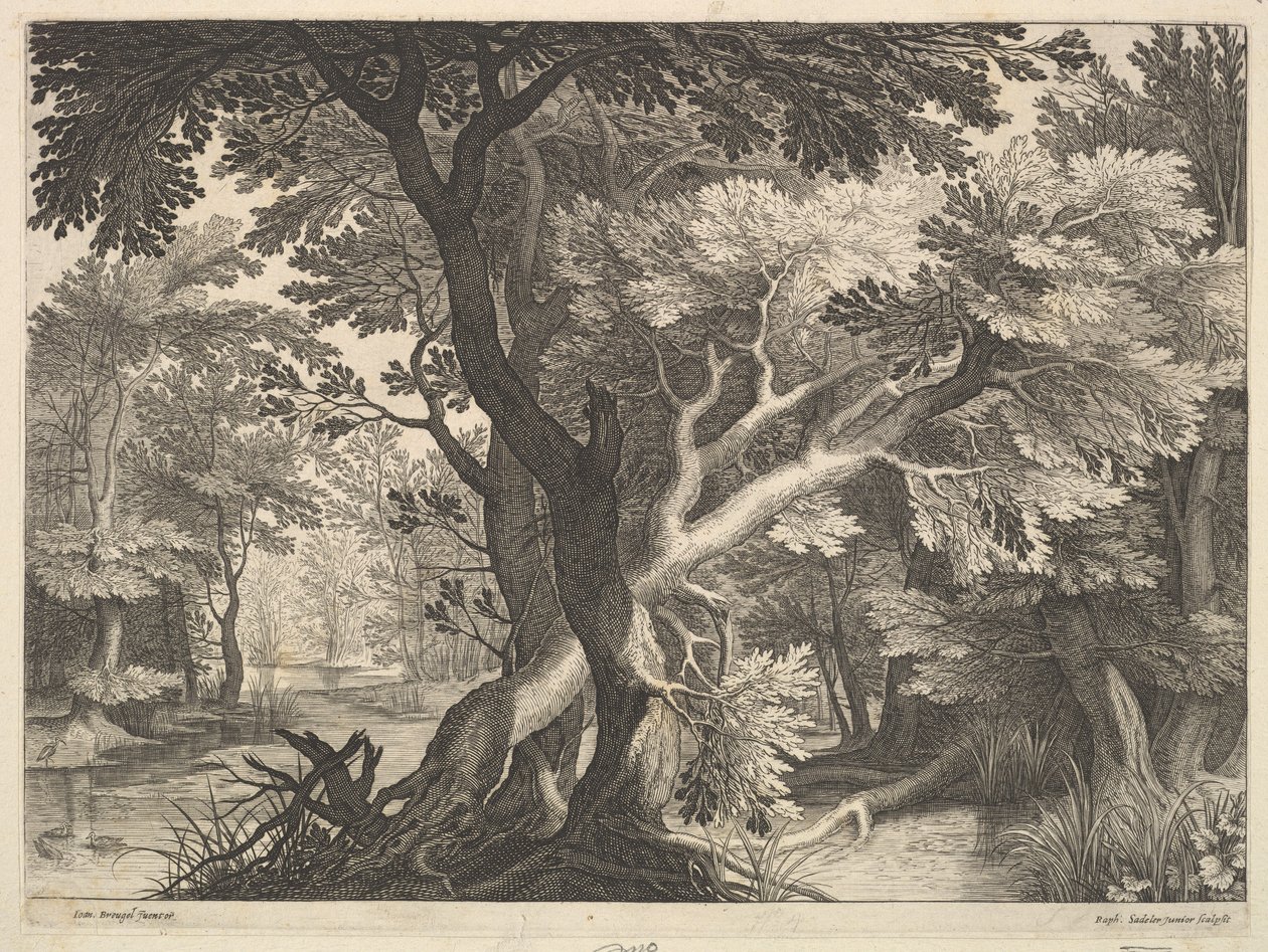 Skogkledd landskap. av Raphael Sadeler