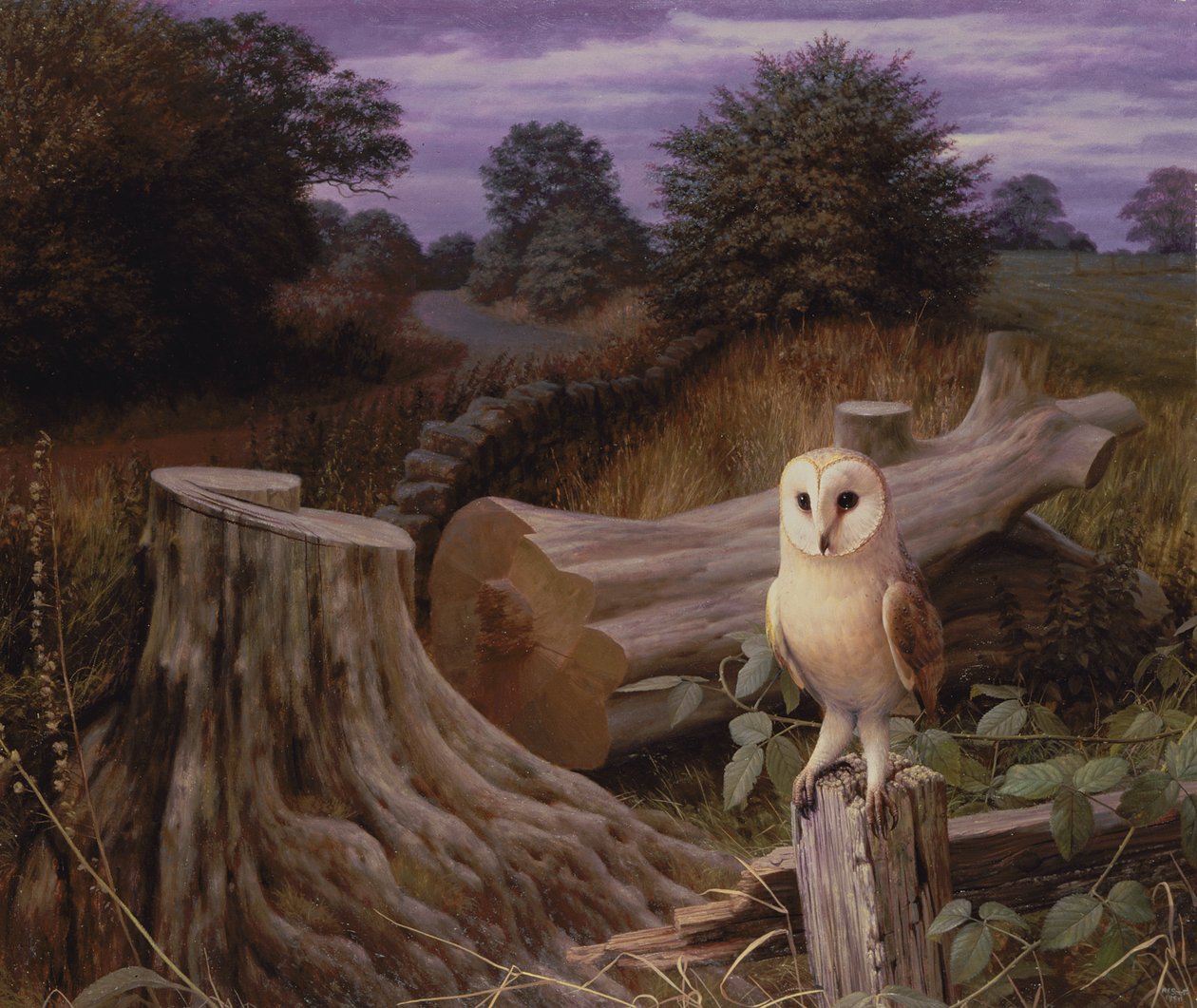  av Raymond Booth