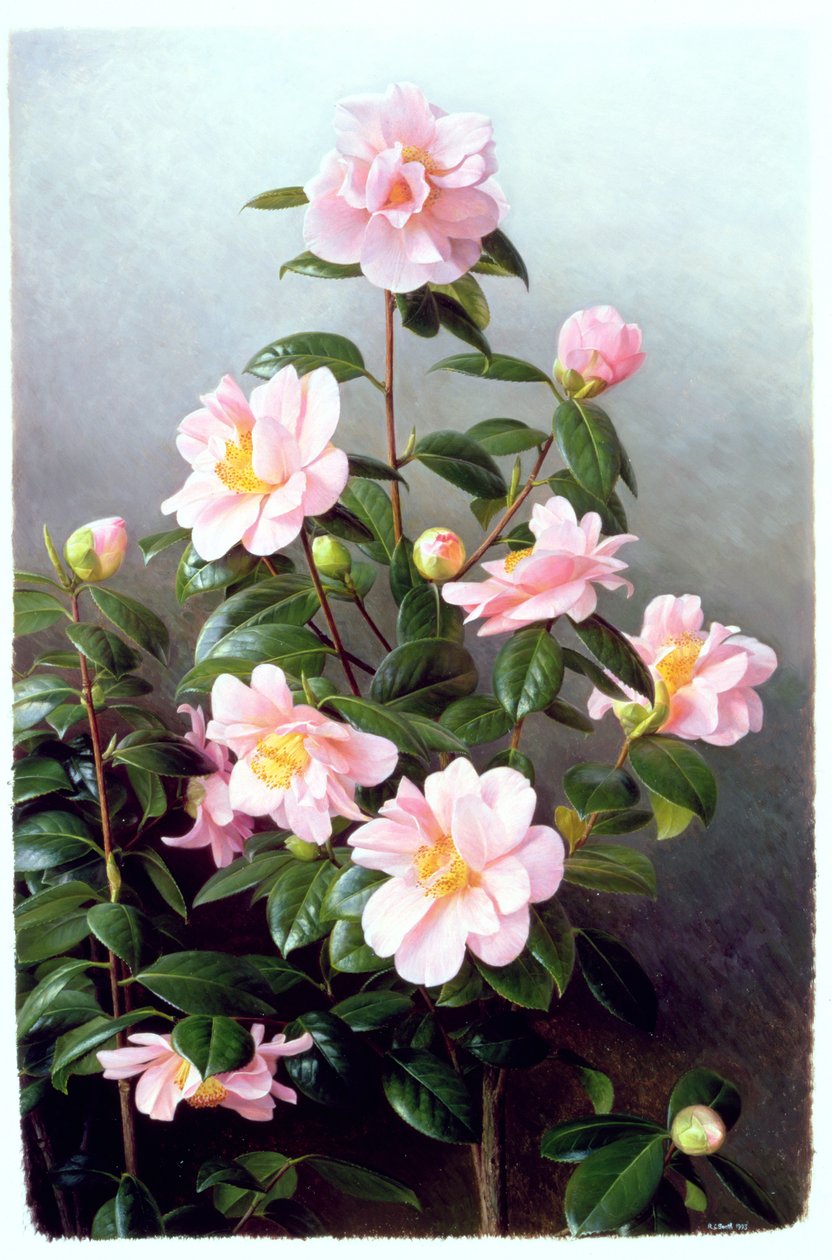  av Raymond Booth