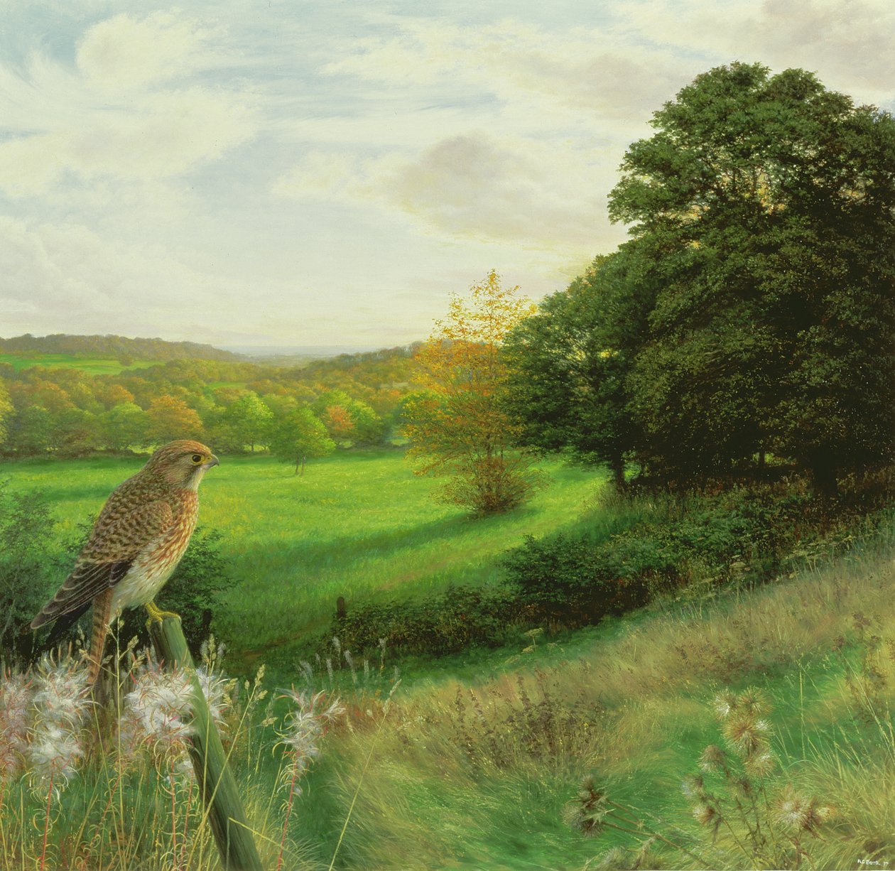  av Raymond Booth