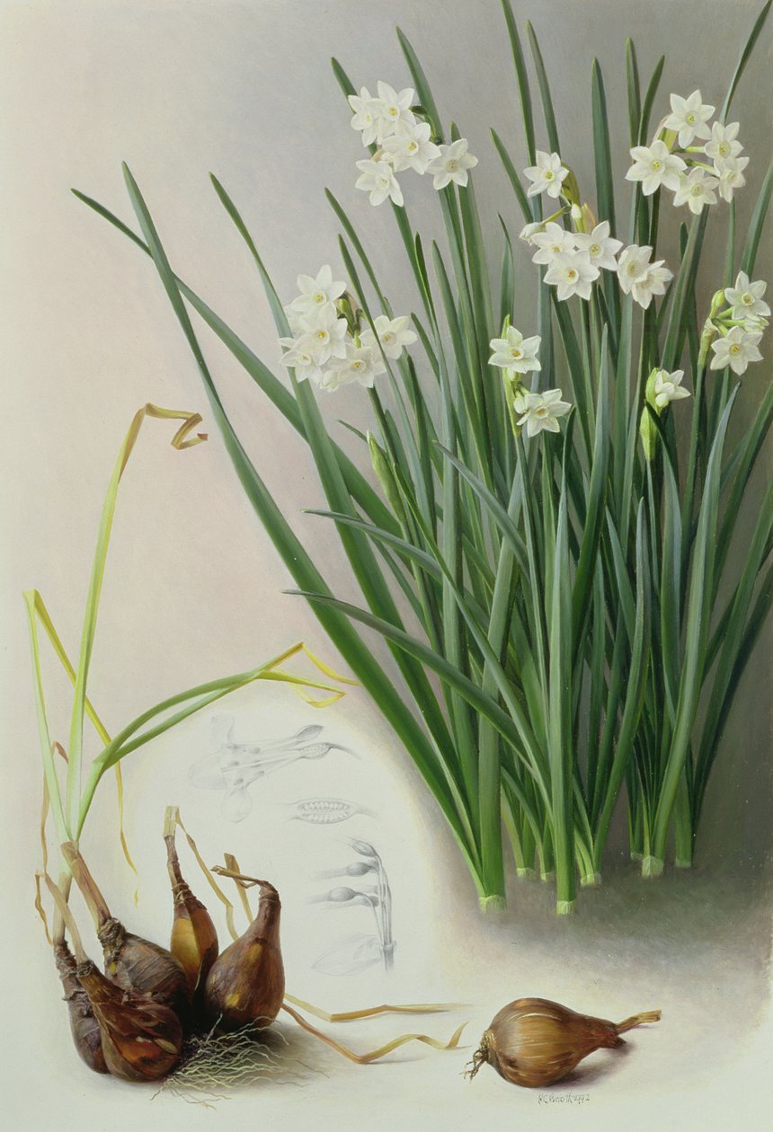  av Raymond Booth