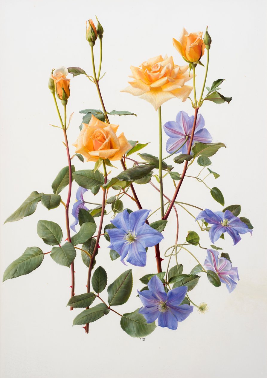  av Raymond Booth