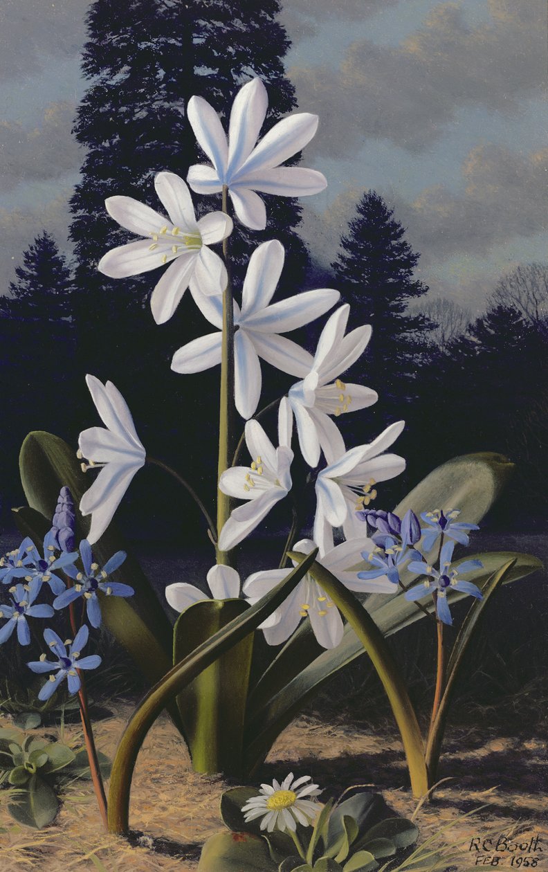  av Raymond Booth