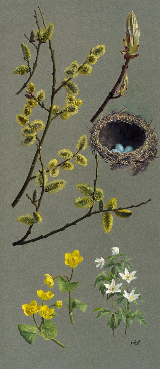  av Raymond Booth
