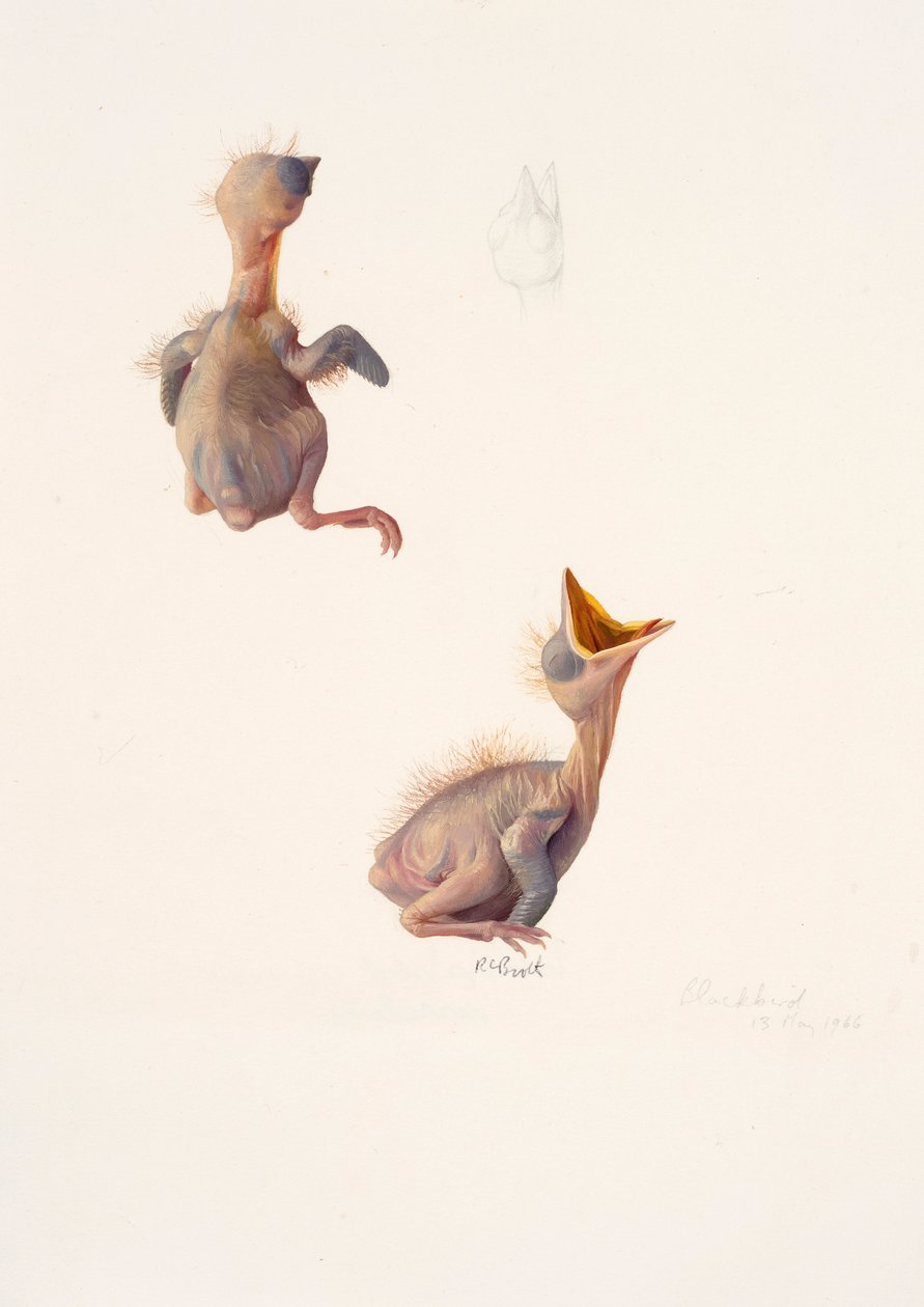  av Raymond Booth