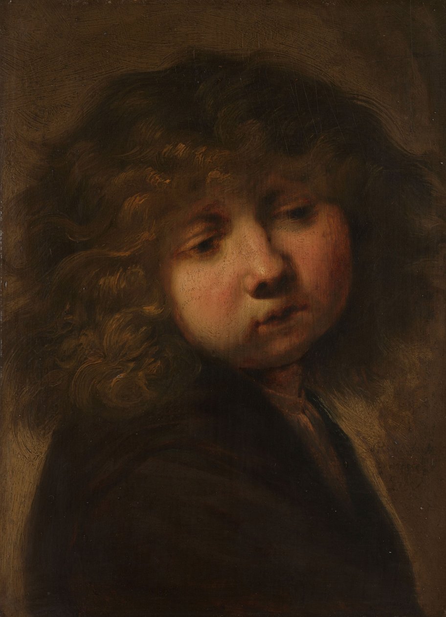Hodet til en gutt av Rembrandt van Rijn