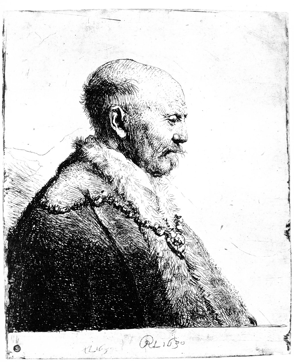 Portrett av en skallet mann, 1630 av Rembrandt van Rijn