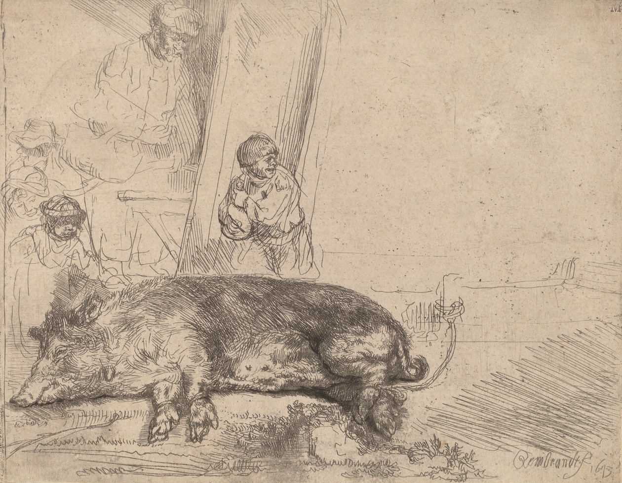 The Hog, 1643. av Rembrandt van Rijn