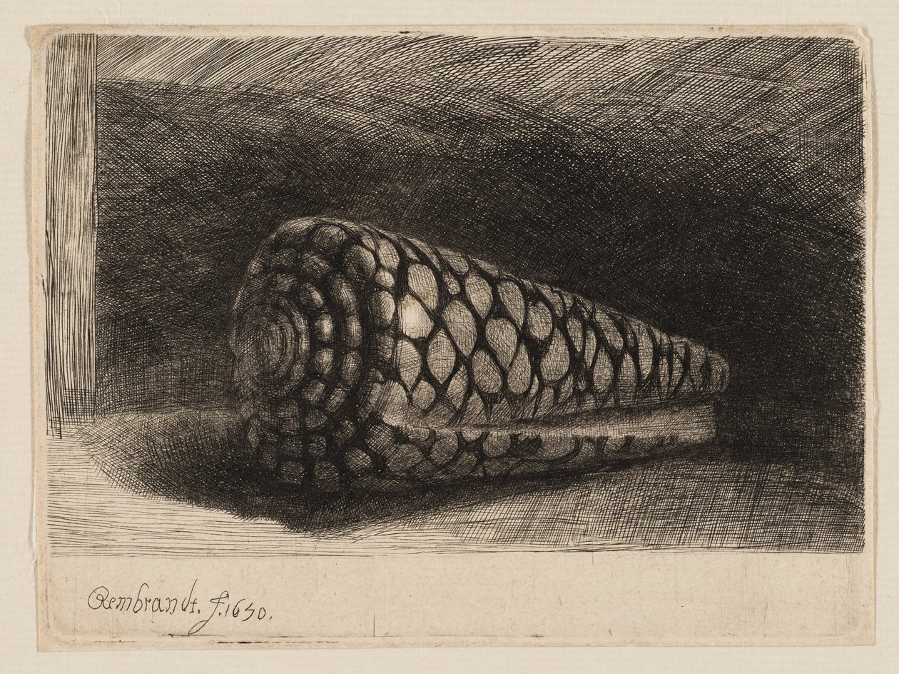 Skallet av Rembrandt van Rijn