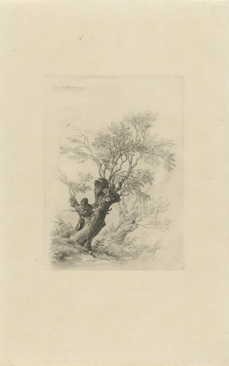 piletre av Remigius Adrianus Haanen