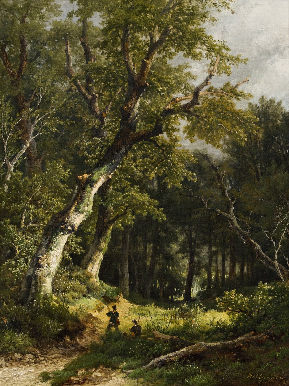  av Remigius Adrianus Haanen