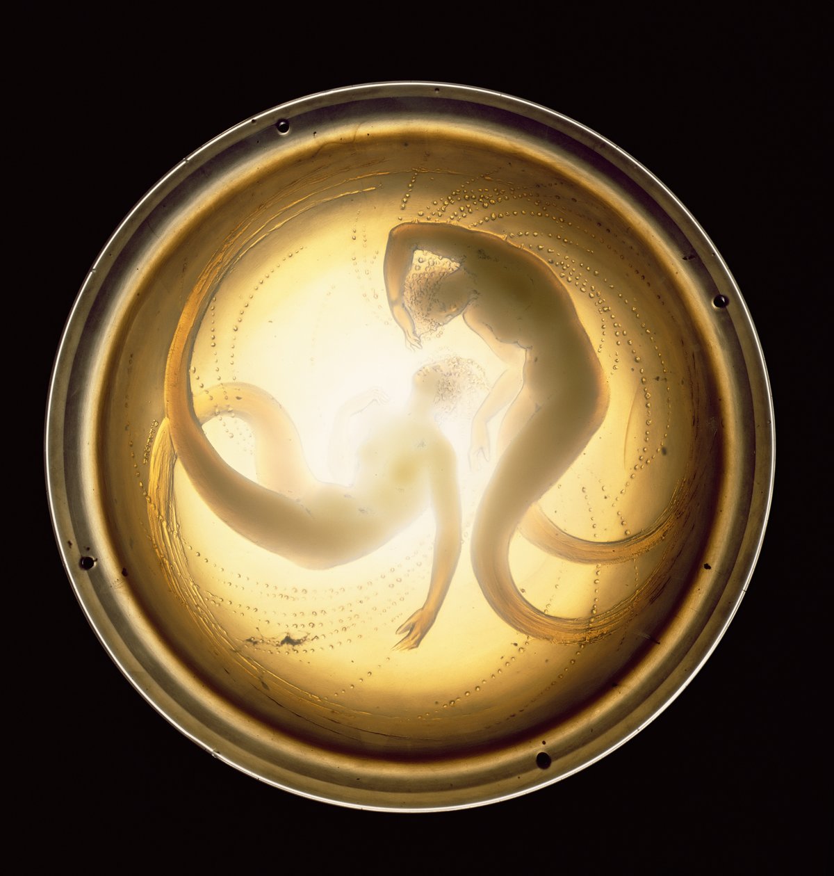 Deux Sirenes taklampe (glass) av Rene Jules Lalique