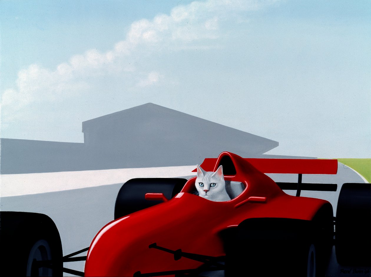 Formel 1 Kat av Rene Boin