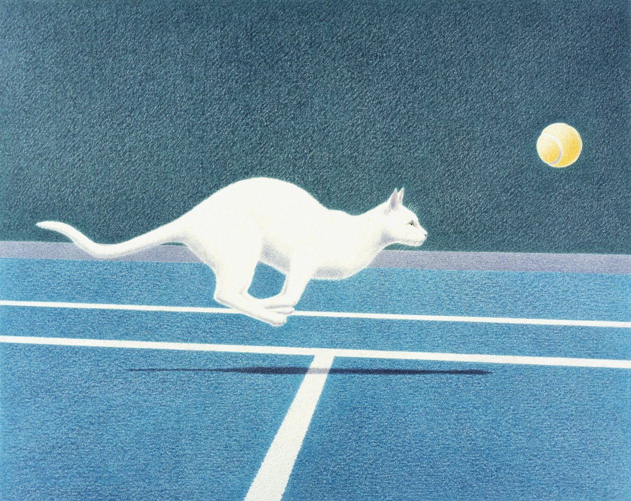 Tennis av Rene Boin