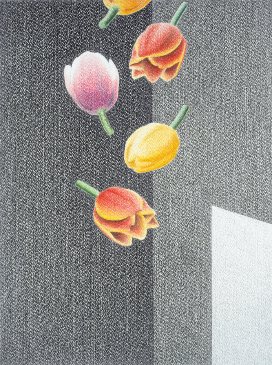 Tulipaner av Rene Boin