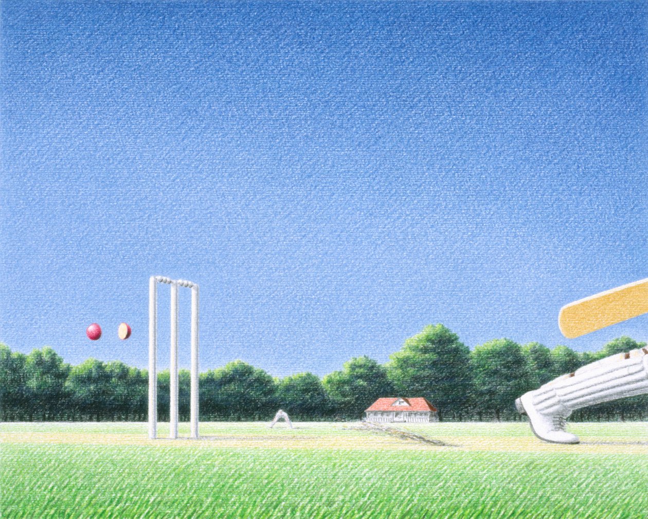 Wicket av Rene Boin