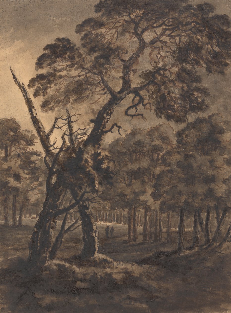Skogscene av Rev. William Gilpin