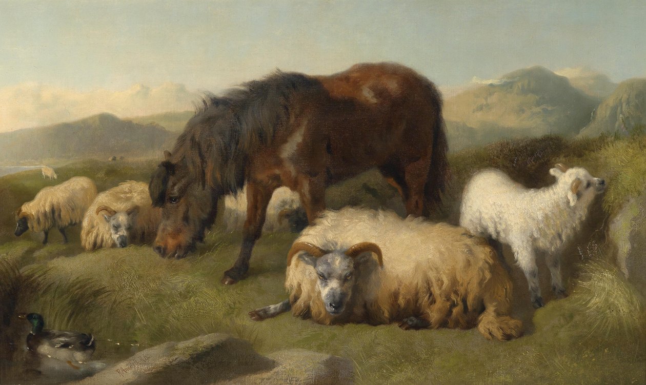 Geiter, sauer og en ponni av Richard Ansdell