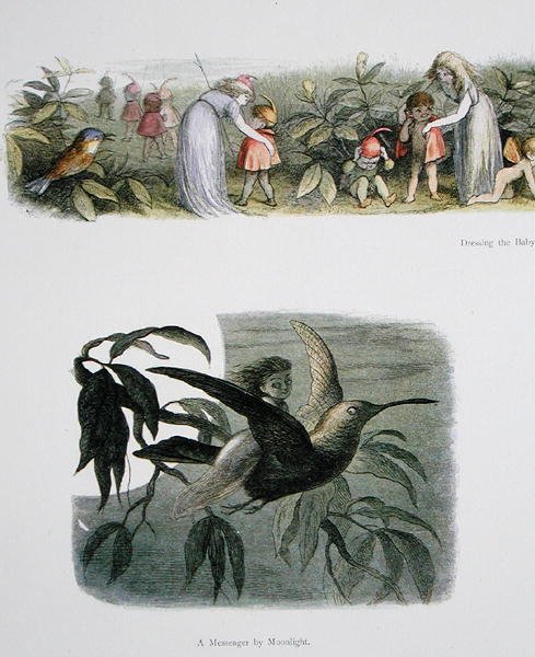 Dressing the Baby Elves, and A Messenger by Moonlight, illustrasjoner fra In Fairyland: A Series of Pictures from the Elf-World av William Allingham og Andrew Lang (se også 222021) av Richard Doyle