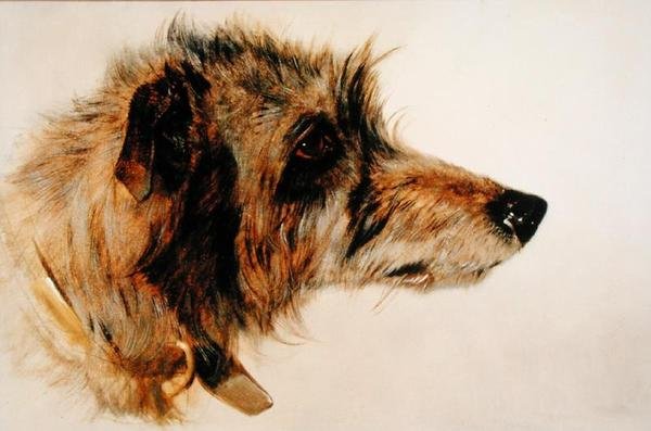 Hodet til en hund av Richard Ansdell