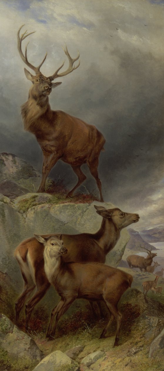 Hjorteskogen av Richard Ansdell