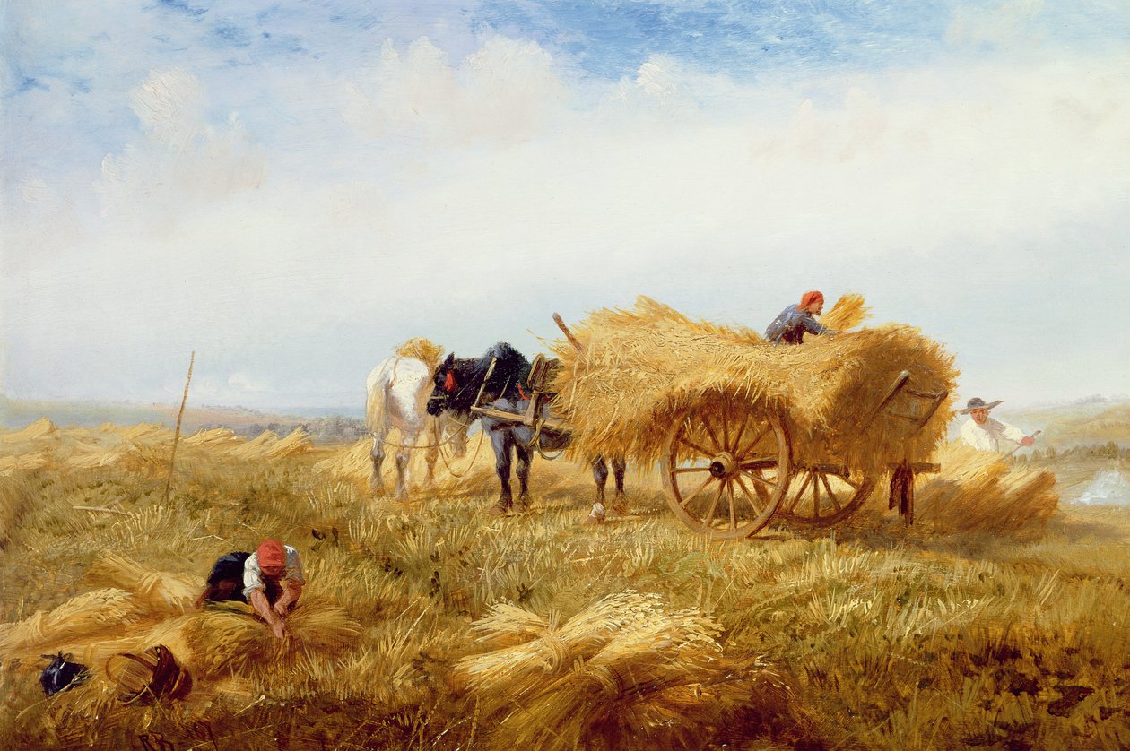 Høsting, nær Boulogne-sur-Mer av Richard Beavis