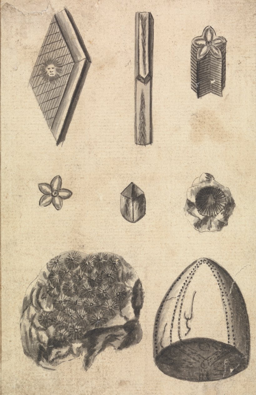 Krystaller og fossiler av Richard Brookes