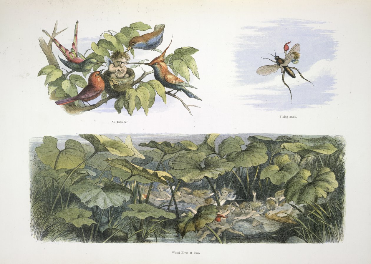 Alver av Richard Doyle