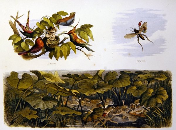 I Eventyrland av Richard Doyle