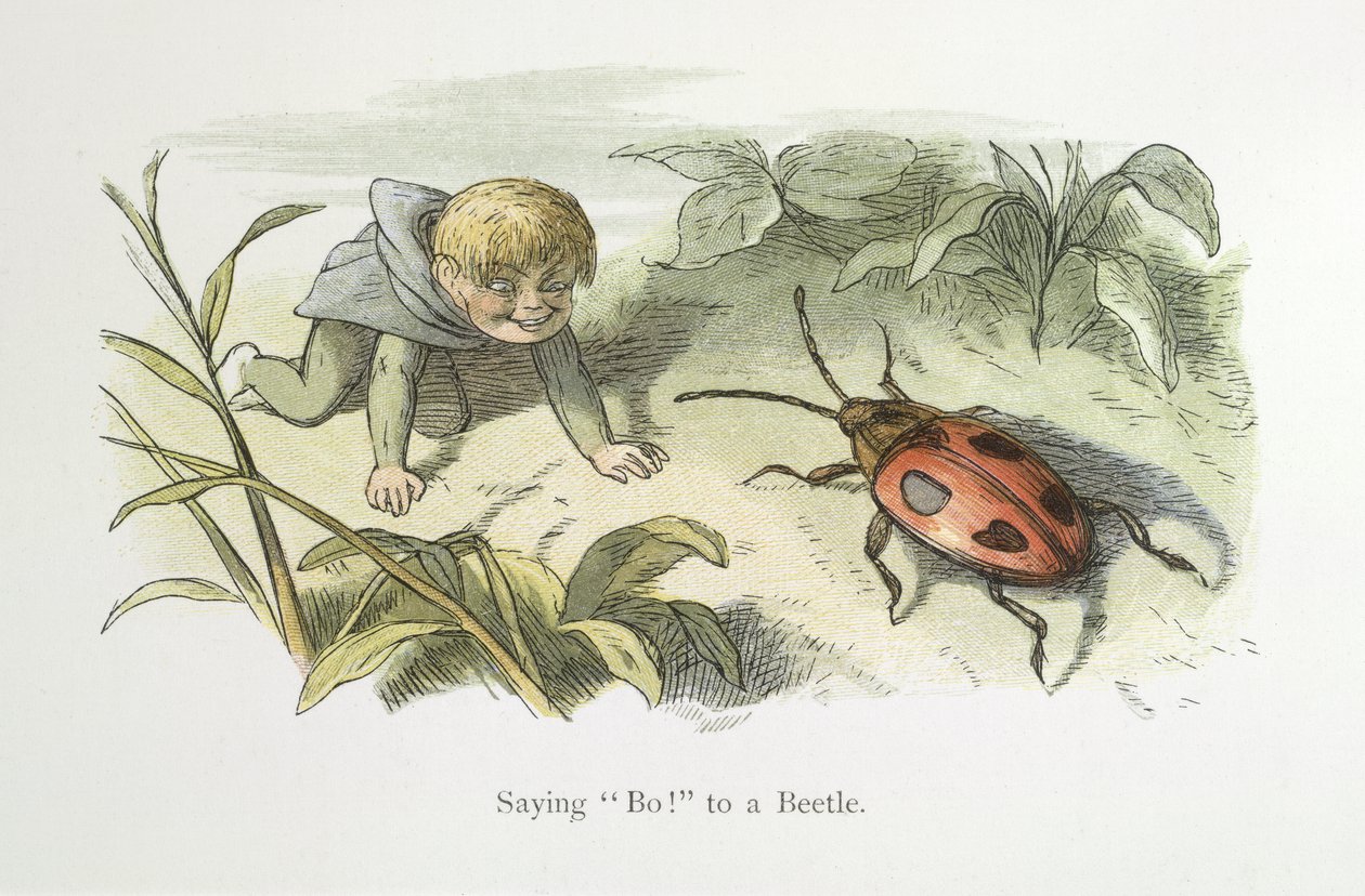 Sier Bo! til en bille av Richard Doyle