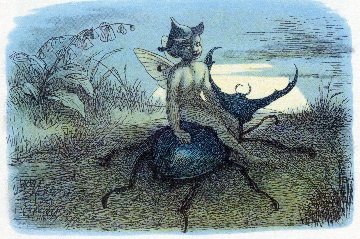 Fairy Queen
