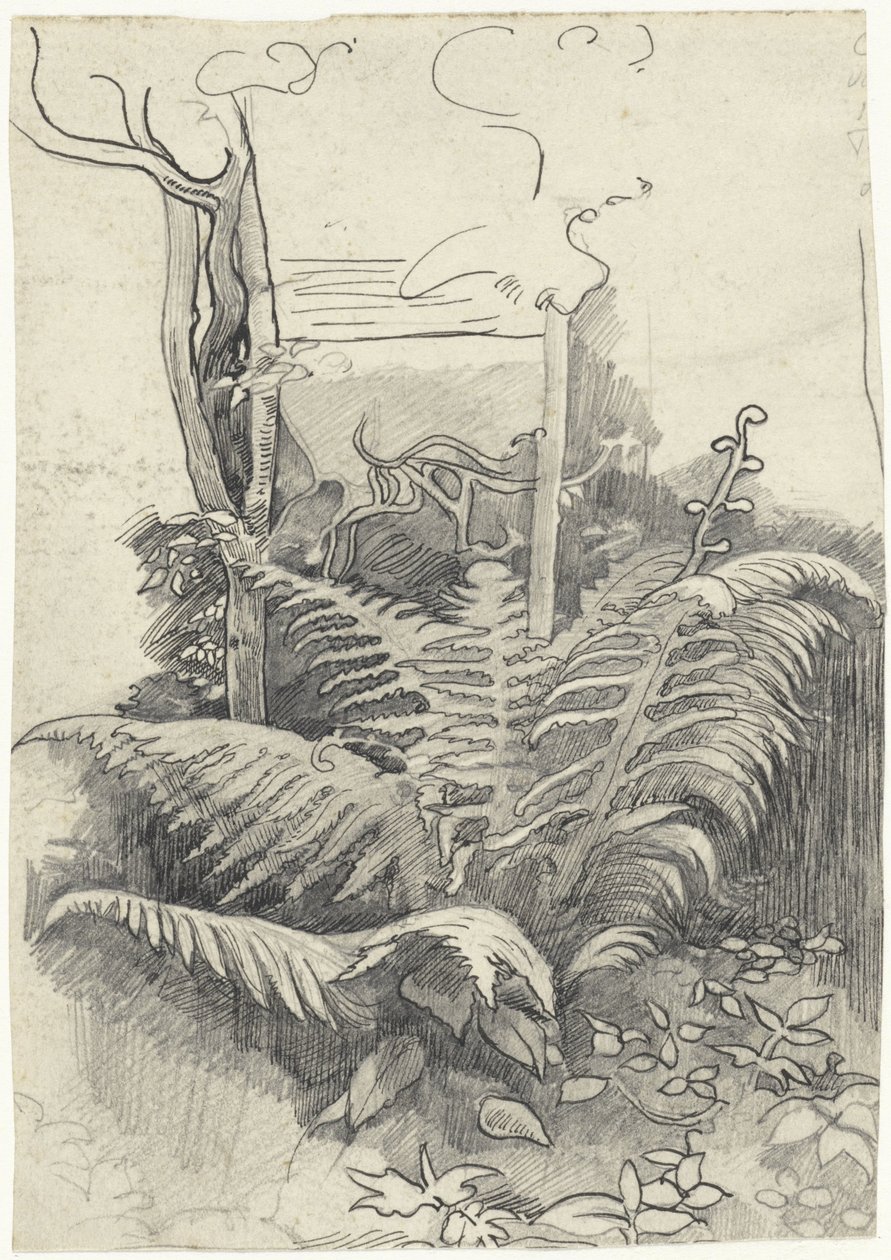 Fern av Richard Nicolaüs Roland Holst