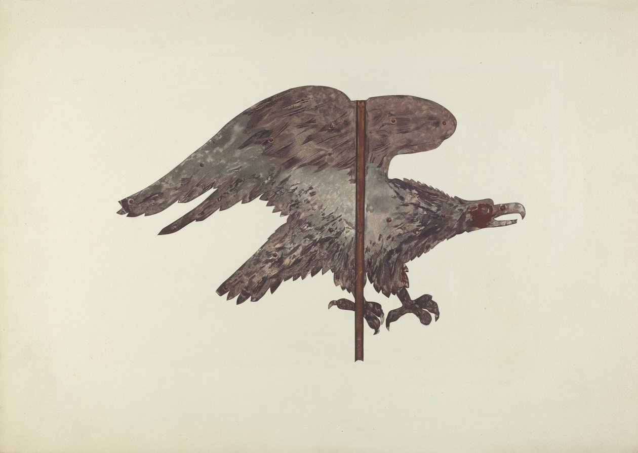 Flyvende ørn værhane av Robert Barton