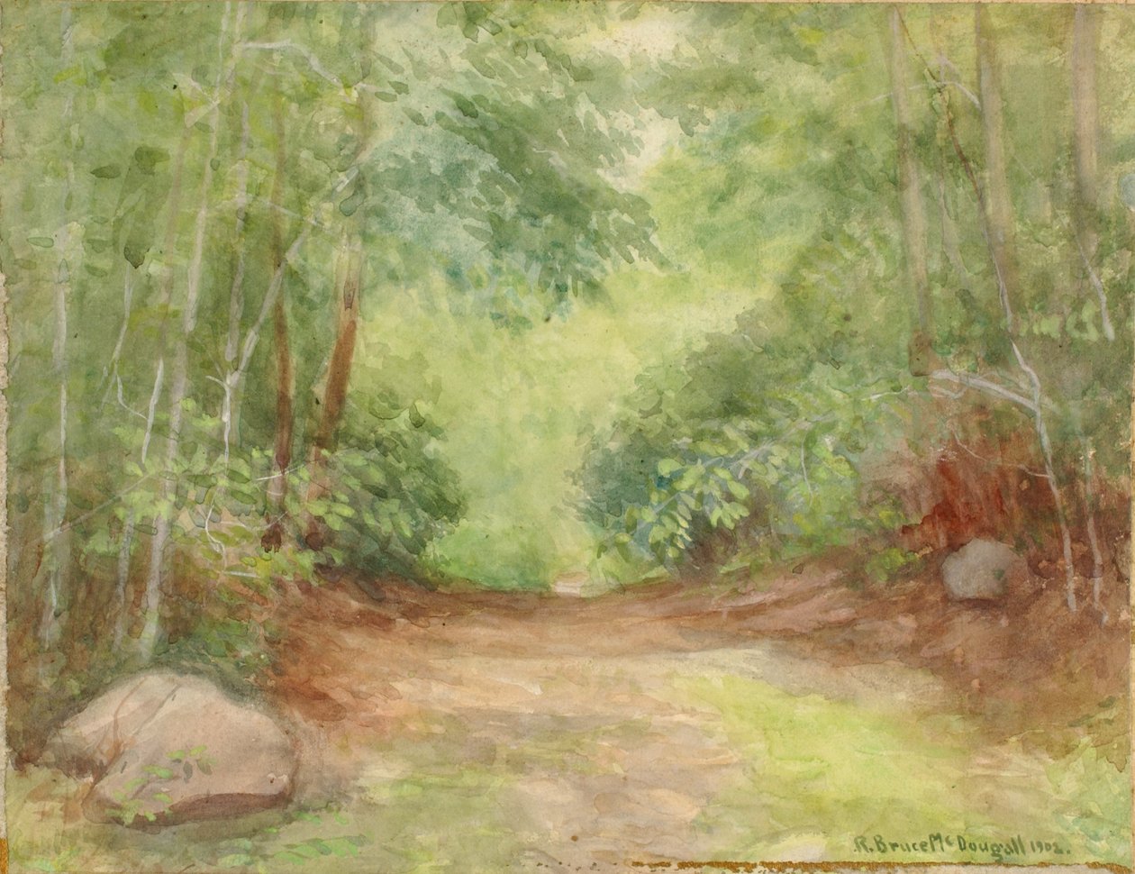 Skogsscene uten tittel, 1902. av Robert Bruce McDougall