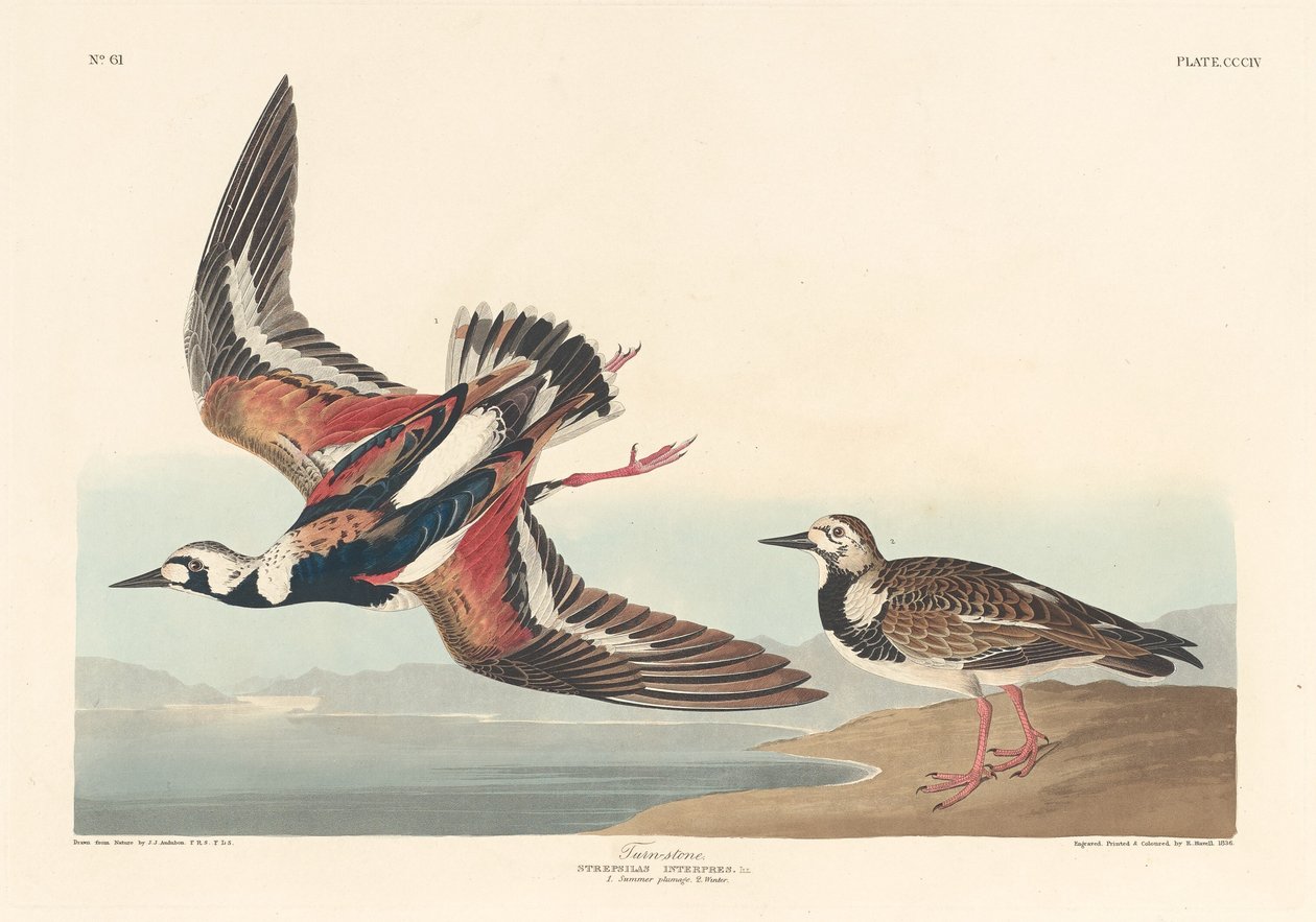 Dreiestein, 1836. av Robert Havell
