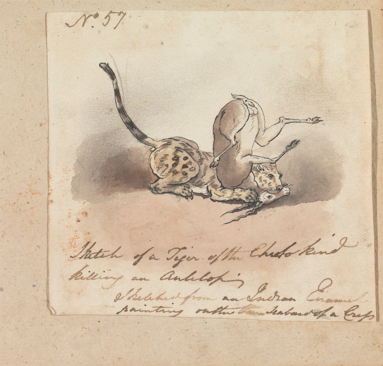 En gepard som dreper en antilope av Robert Mabon