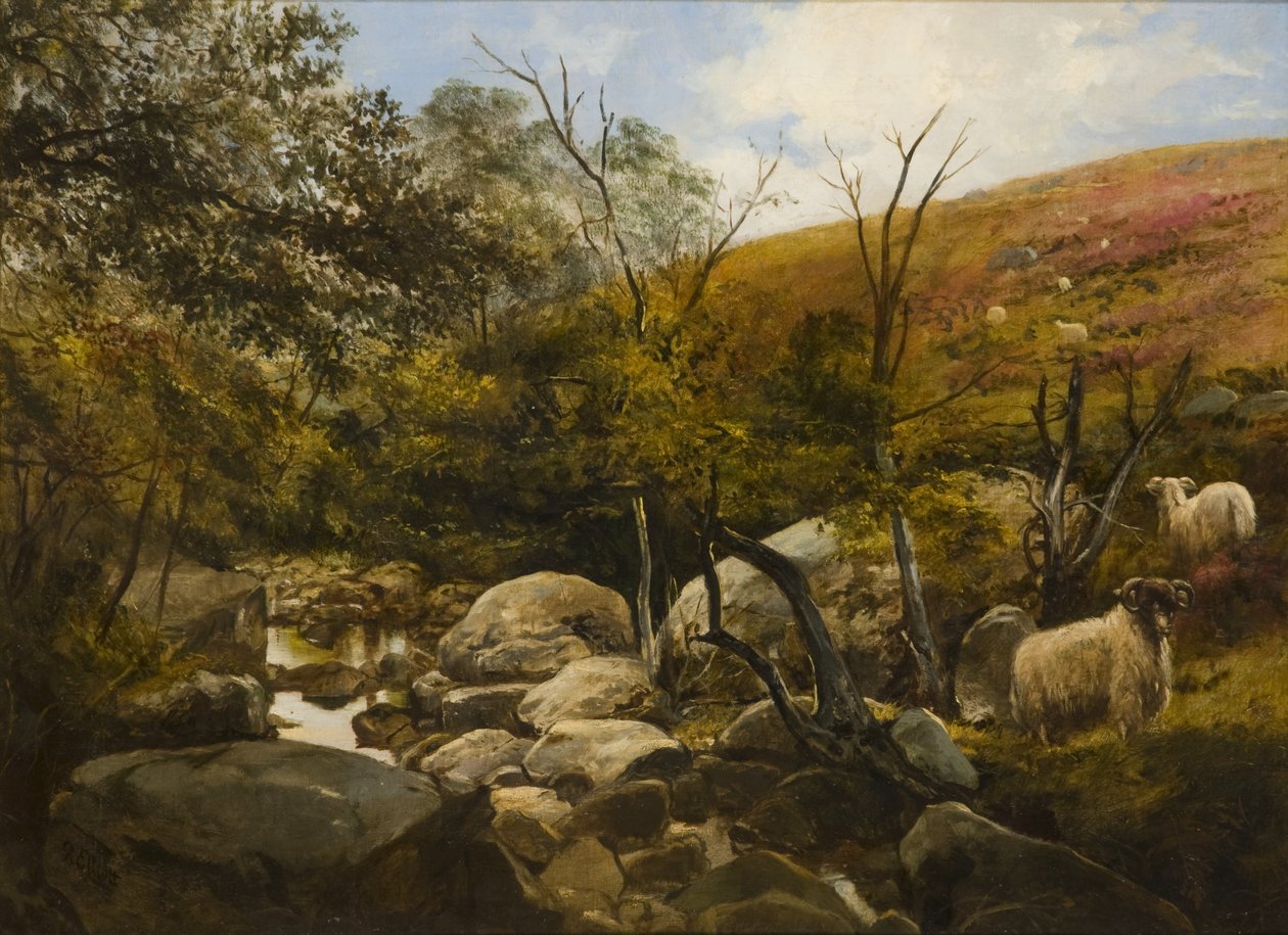 På Black Burn, nær Rothbury av Robinson Elliott