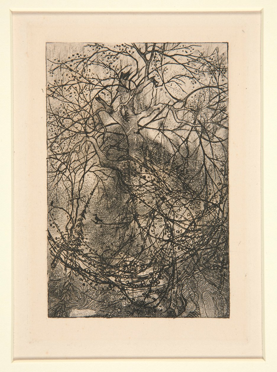 Grener av Rodolphe Bresdin
