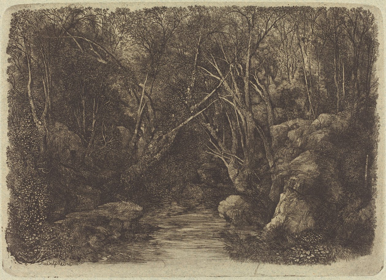 Bekken i skogen av Rodolphe Bresdin