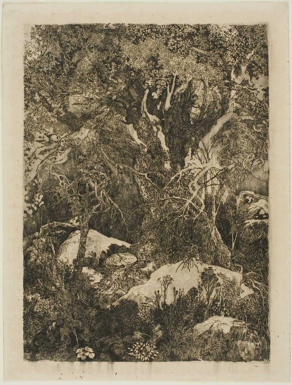 Skogen i Fontainebleau av Rodolphe Bresdin