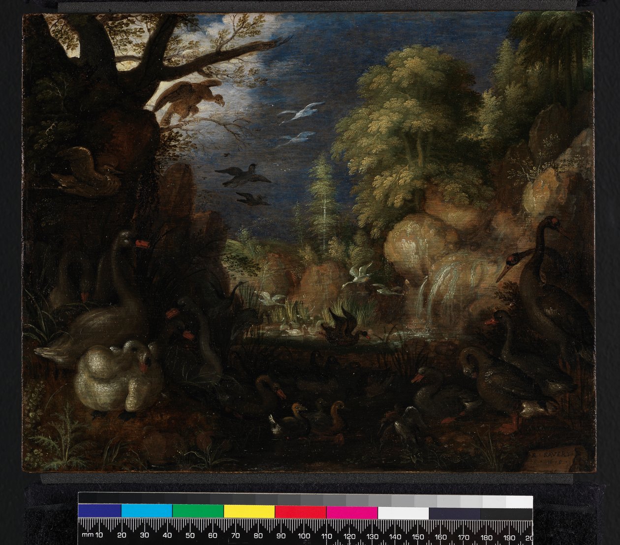 Skapelsen av fugler, 1619 av Roelandt Jacobsz. Savery