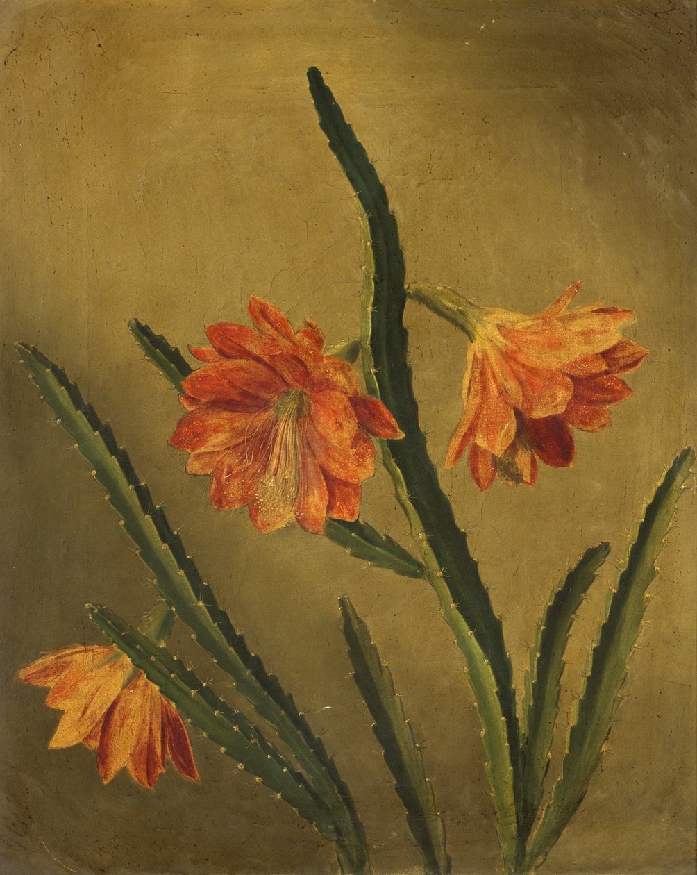 Study of Flowers (olje på lerret) av Rolinda Sharples