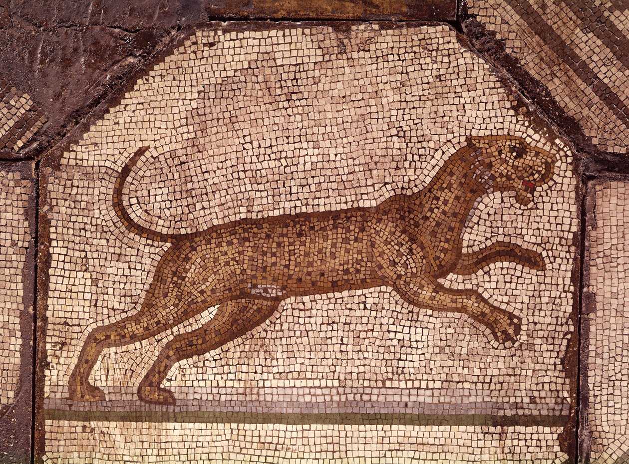 En leopard, detalj fra Orpheus Charming the Animals (mosaikk) av Roman
