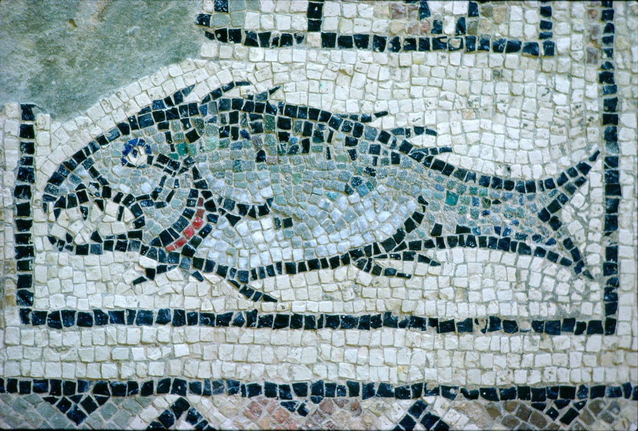 Fisk på et romersk gulv (mosaikk) av Roman