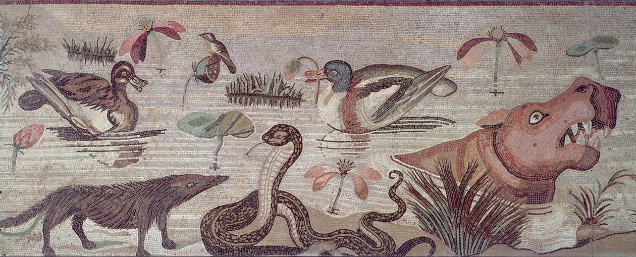 Nilen scene, detalj av ender, en slange og en flodhest, fra Casa del Fauno House of the Faun Pompeii mosaikk av Roman
