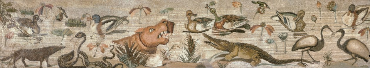 Nilens scene, fra Casa del Fauno (Faunens hus) Pompeii (mosaikk) av Roman